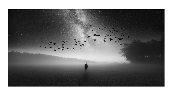 Have you ever wished upon a star